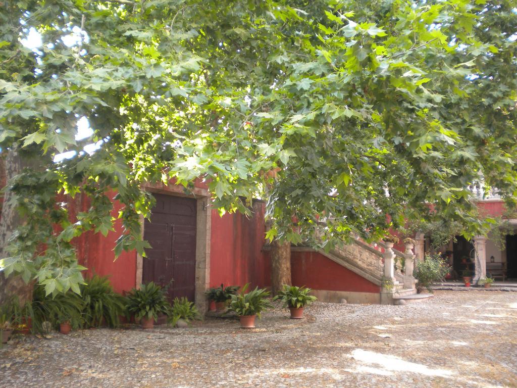 Casa Dos Vargos Bed & Breakfast Torres Novas Exterior photo